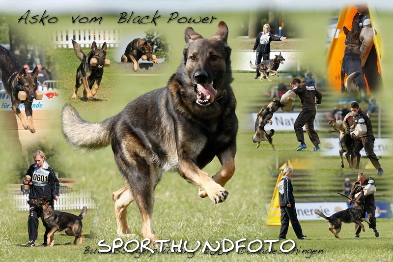 Asko vom Black Power.jpg